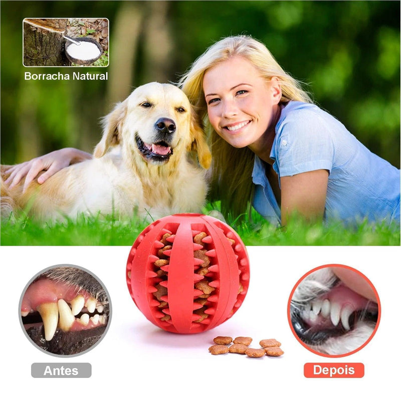 Bolinha Interativa de ração para cachorro Brinquedo Macio limpa dente extra-resistente - docaplay