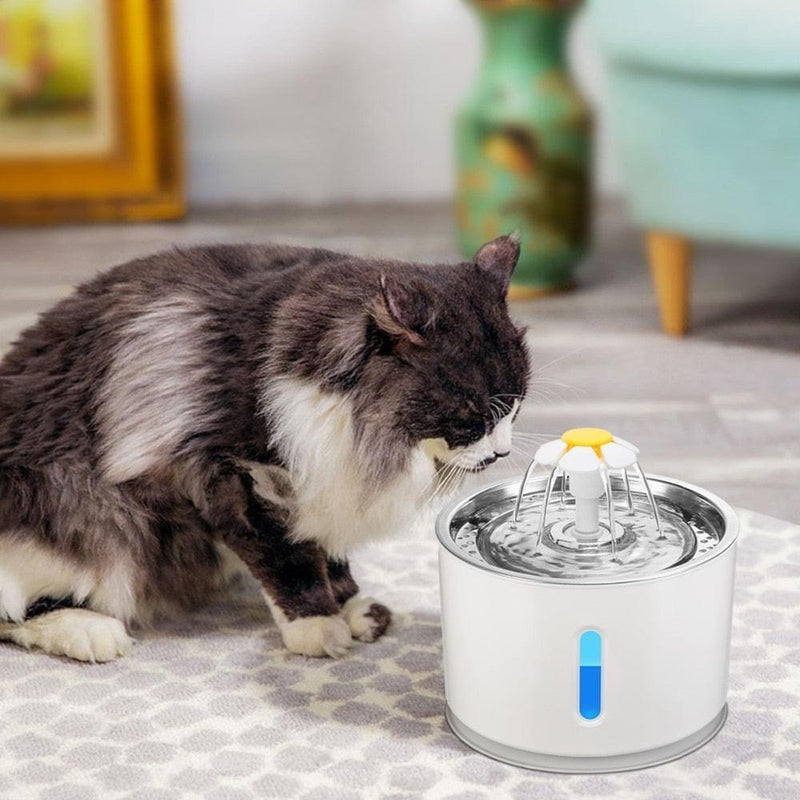 Fonte de água para Gato e cachorro tigela filtro de carvão ativo automático - docaplay