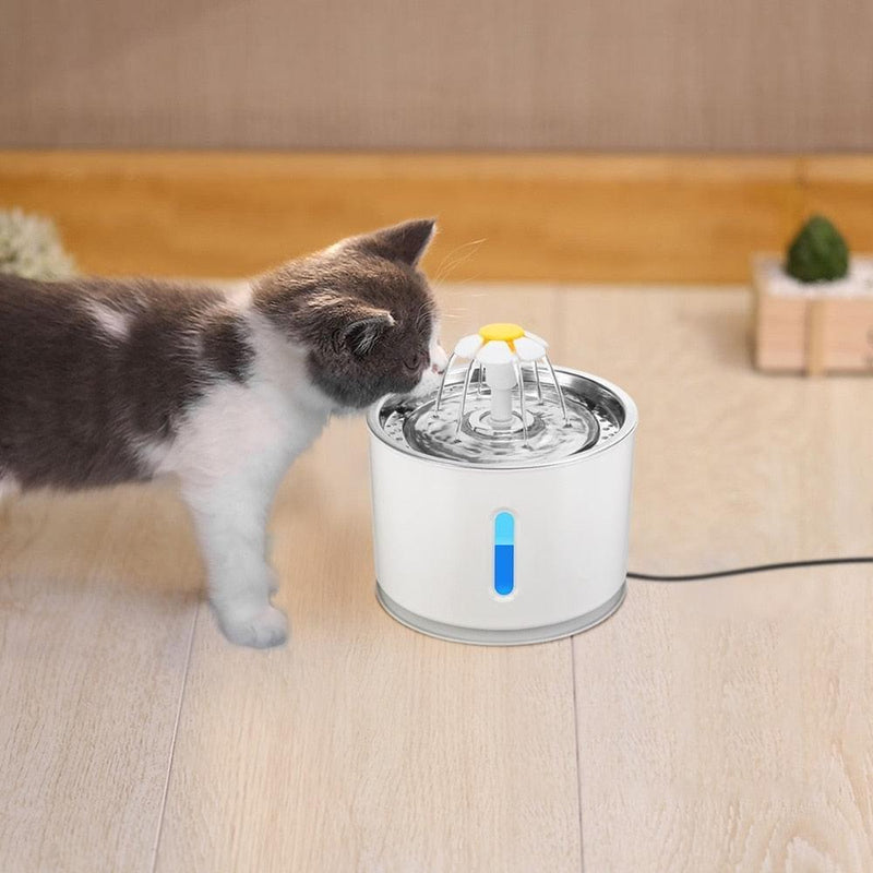 Fonte de água para Gato e cachorro tigela filtro de carvão ativo automático - docaplay